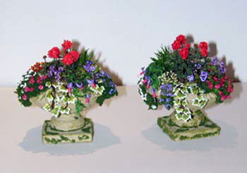 Geraniums, Pansies and Fuchsias